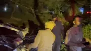 Four Killed in Car-Crash with Combine Harvester in Bahraich