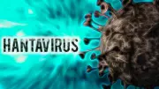 French Woman Critically Ill in Hantavirus Outbreak on Cruise Ship