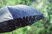 Fresh Western Disturbance to Bring Week-Long Wet Spell in Punjab, Haryana