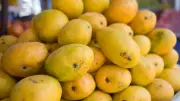 From Gadha to Hara*****: 10 Unique Mango Varieties Enjoyed in India