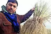 From MNC Job to Farming Success: Man's Inspiring Journey in Bihar
