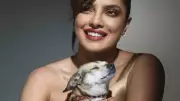 From Priyanka to Shraddha: Indian Celebs Who Are Proud Pet Parents