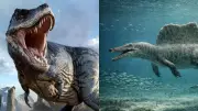 From T. Rex to Spinosaurus: Meet the Most Terrifying Dinosaurs to Ever Walk the Earth