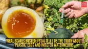 FSSAI Debunks Plastic Eggs and Dyed Watermelon Myths