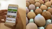 FSSAI Flags Poor Quality Eggs on Blinkit, Seeks Action Report