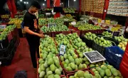 Fuel Crisis, Diesel Shortage Hit Mango Growers in Gujarat