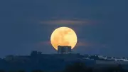 Full Flower Moon 2026: 5 Illuminating Facts About May's Rare Lunar Event