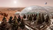 Fungi Could Transform Martian Soil Into Fertile Ground for Crops