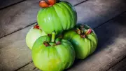 Garcinia Cambogia for Weight Loss: Benefits, Risks, and What You Need to Know