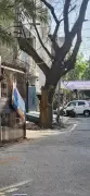Ghaziabad Residents Demand Quick-Response Teams for Tree Emergencies Ahead of Monsoon