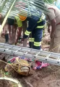 Giant Crocodile Rescued from Coconut Grove in Trichy, Released Near Kallanai