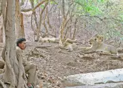 Gir Forest Trackers Get Insurance Cover Up to Rs 10 Lakh