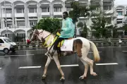 Glanders Outbreak: Chennai Tests 80 Horses After Fatal Infection