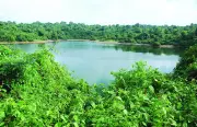Goa Health Dept Warns Against Swimming in Stagnant Water Amid Heatwave