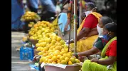 Goa Mango Output Up 50%, Harvest to Continue Till June First Week