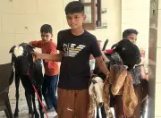 Goat Prices Surge Ahead of Eid al-Adha Amid Shortages in Punjab