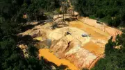Gold Rush in Amazon Drives Deforestation and Mercury Contamination