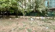 Greater Noida Residents Decry Neglect of Green Belts, Parks, and Footpaths