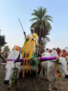 Groom takes PM Modi's fuel conservation call to heart, arrives for wedding on bullock cart