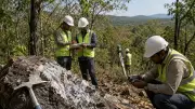 GSI Proposes Lithium Exploration in Raichur Forest, Karnataka