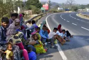 Gujarat Cabinet Approves Road Widening Plan Using Forest Land Diversion