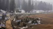 Gulmarg Ski Resort Faces Climate Crisis: Artificial Snow and Synthetic Slopes Planned