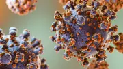 Hantavirus Outbreak Comparison with COVID-19: Cases, Symptoms in India