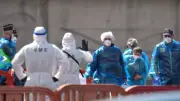Hantavirus Outbreak on Cruise Ship Spreads to Canada, New Study Raises Concerns