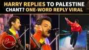 Harry Styles Responds to Pro-Palestine Chant at Amsterdam Concert