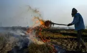 Haryana Agriculture Dept Fines 6 Farmers for Stubble Burning