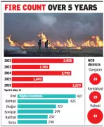 Haryana Records Highest Wheat Residue Burning in 5 Years