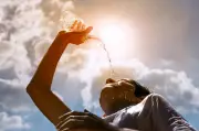 Haryana Weather Alert: IMD Predicts Heat Wave Across 11 Districts