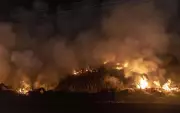 Haryana wheat stubble burning spikes 157% in April 2025, 1,565 fires
