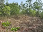 Haveri Forest Officials Allegedly Misused Rs 2 Crore for Plantation Work