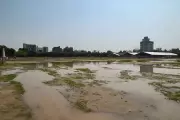 Heavy Rain and Hailstorm Lash Patna, Waterlogging in Gandhi Maidan