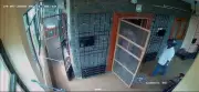 Helmet-Clad Man Poses as Electricity Board Worker to Commit Thefts in Chennai