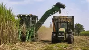 High-Tech Harvest Hubs Boost Sugarcane Yields in Karnataka