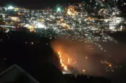 Himachal Forest Dept Launches Toll-Free Helpline for Forest Fires
