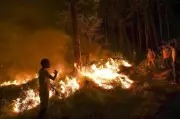 Himachal Forest Fires Surge: 288 Incidents Destroy 3,672 Hectares