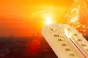 Himachal Pradesh to Face Intense Heat Wave on May 27, Yellow Alert for 8 Districts