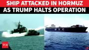 Hormuz Crisis: Another Cargo Ship Struck by Projectile Amid Iran-US Tensions