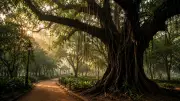 Horror Folklore Walk at Lalbagh Brings Chills and Thrills to Bengaluru