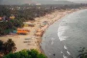 How Coastline Types Influence Ports and Urbanisation Patterns