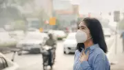 How Daily Air Pollution Triggers Asthma and Breathing Problems