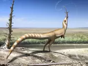 How Microscopic Fossils Revealed Dinosaur Colors for First Time