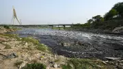 How What You Flush Ends Up in the Yamuna River: A Deep Dive