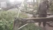 Hubballi-Dharwad: 25 Trees Uprooted in Rain, HDMC Blamed for Negligence