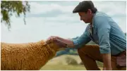 Hugh Jackman's 'The Sheep Detectives' Gets 94% Rotten Tomatoes Rating Before Release