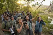 Hyderabad Birdwatchers Embrace Summer Mornings to Spot Resident Birds