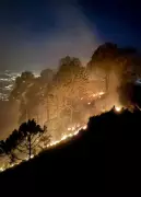 IAF Helicopters Drop 40,000 Litres of Water to Douse Kasauli Forest Fire